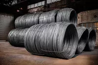 12 000 сум Стальная проволока (арт.010)