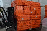 4 450 so'm Penoplex PENOPLEX/BASIS (modda 075)