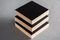 Finlyandiya qatlamli kontrplak (076-modda)