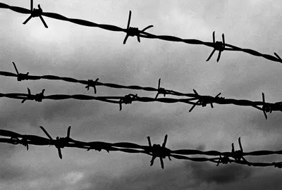 Колючая проволока (арт.061)