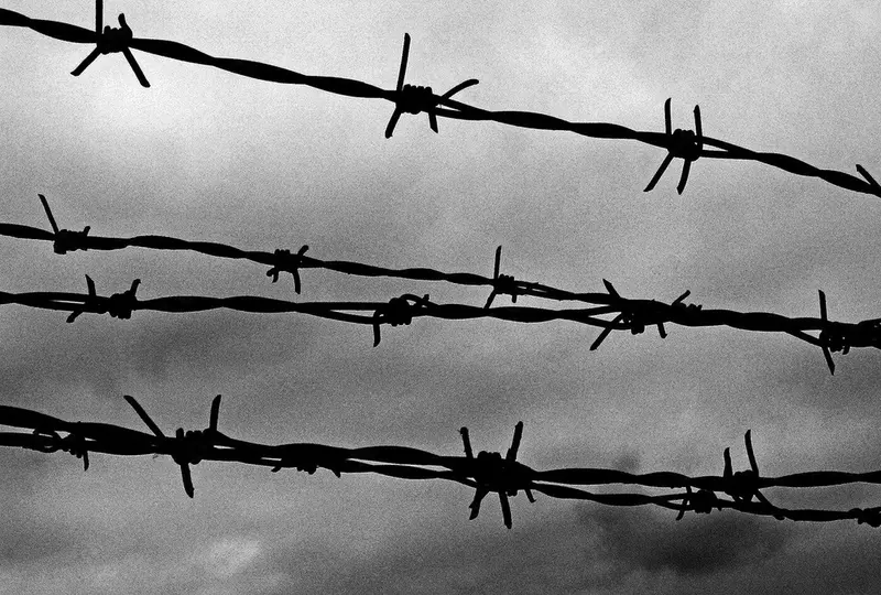 Колючая проволока (арт.061)