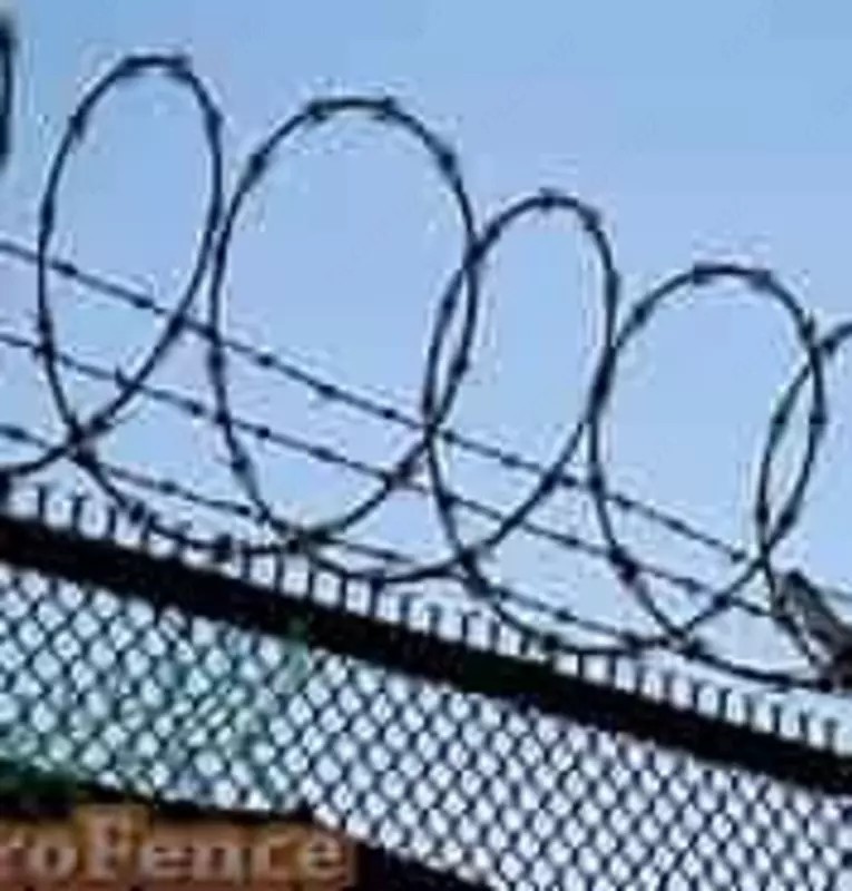 Колючая проволока (арт.061)