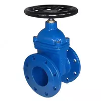 Задвижка чугунная м