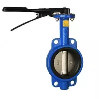 Затвор поворотный дисковый