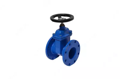 Задвижка с обрезанном клином 30ч39бр