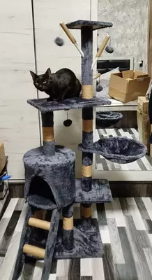 2 450 000 сум / шт. Дом для кошки премиум-класса с когтеточкой