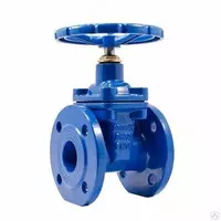 Epoksid qoplamali Cho`yan zadvijka EP-20 GOST 5762-2002 PH MPa 1.6 Yengil DN-100