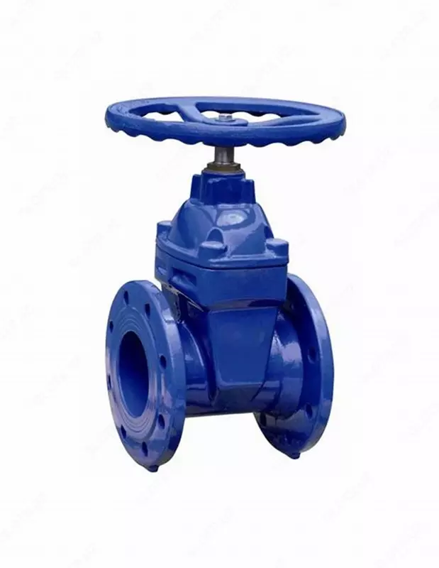 Epoksid qoplamali Cho`yan zadvijka EP-20 GOST 5762-2002 PH MPa 1.6 Yengil DN-100 - {0} so'mdan