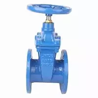 {0} so'mdan Epoksid qoplamali Cho`yan zadvijka EP-20 GOST 5762-2002 PH MPa 1.6 Yengil DN-100