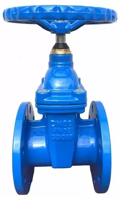 Epoksid qoplamali Cho`yan zadvijka EP-20 GOST 5762-2002 PH MPa 1.6 Yengil DN-100 Ulgurji va chakana