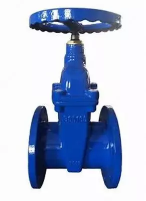 Задвижка чугунная клиновая с не выдвижным шпинделем и эпоксидным покрытием ЭП-20 ГОСТ 5762-2002 PH MPa 1