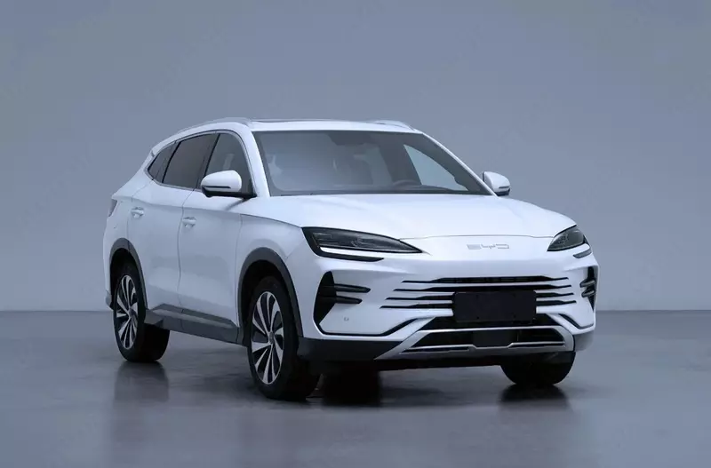 Byd Song Plus Chempion (605)