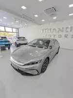 BYD Qin Plus Excellence (610)