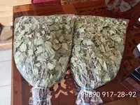 Веники для бани и сауны