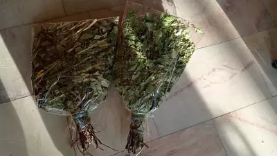 Веники для бани и сауны - 70 000 сум / шт.