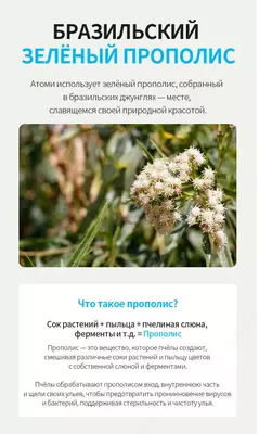  Спрей для горла c Зеленым прополисом (3 флакона) Только в розницу