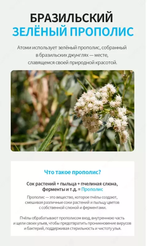  Спрей для горла c Зеленым прополисом (3 флакона) Только в розницу