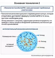  Atomy - Absolyut SellAktiv to‘plami — teringizga mukammal parvarish