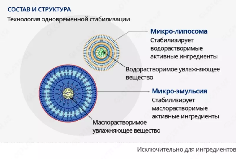  Absolyut SellAktiv to‘plami — teringizga mukammal parvarish Yuz uchun kremlar