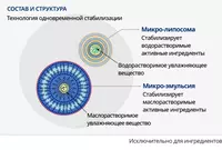  Absolyut SellAktiv to‘plami — teringizga mukammal parvarish Yuz uchun kremlar