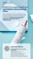  Atomy - Абсолют СеллАктив лосьон — эффективный уход за кожей для сияния и упругости