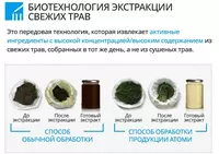  Atomy - BB kremi (SPF30) - yuzingiz uchun mukammal yechim
