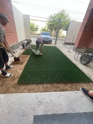 Газонная решетка Standartpark HEXARM