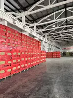 Базальтовая вата