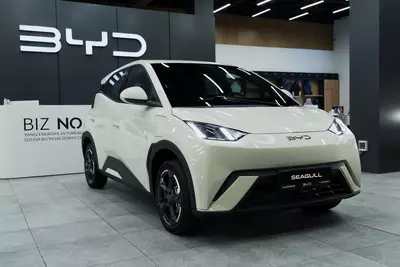 BYD Seagull 405km Flying AUTOZONE