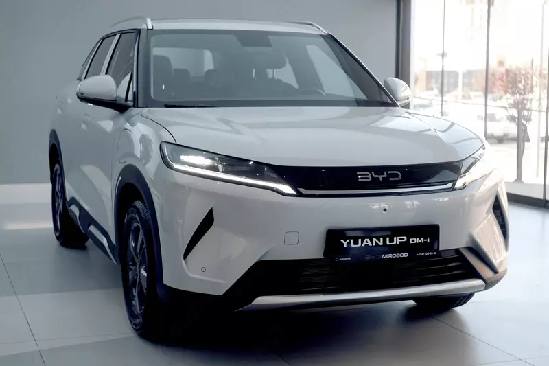 BYD Yuan Up dm-i AUTOZONE