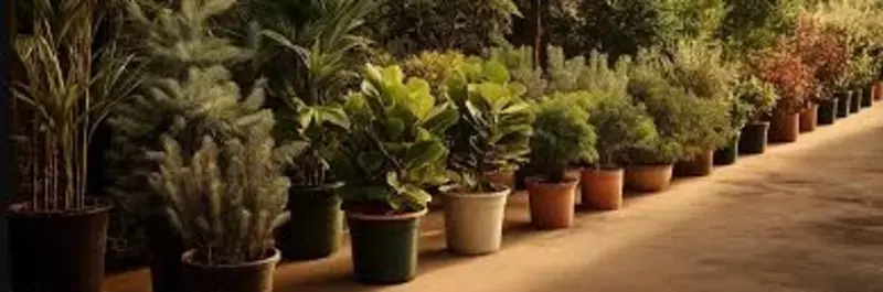  ООО EXPONENT - Гидрогель Aqua