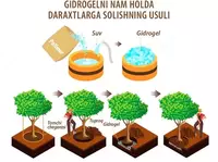  Гидрогель Aqua Прочие товары для сельского хозяйства