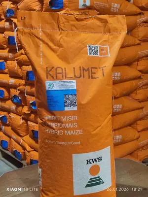  Семена Кукурузы Зерно Макка Дон Силос Продукция компании KWS SAAT SE & Co. KGaA (Германия). ООО EXPONENT