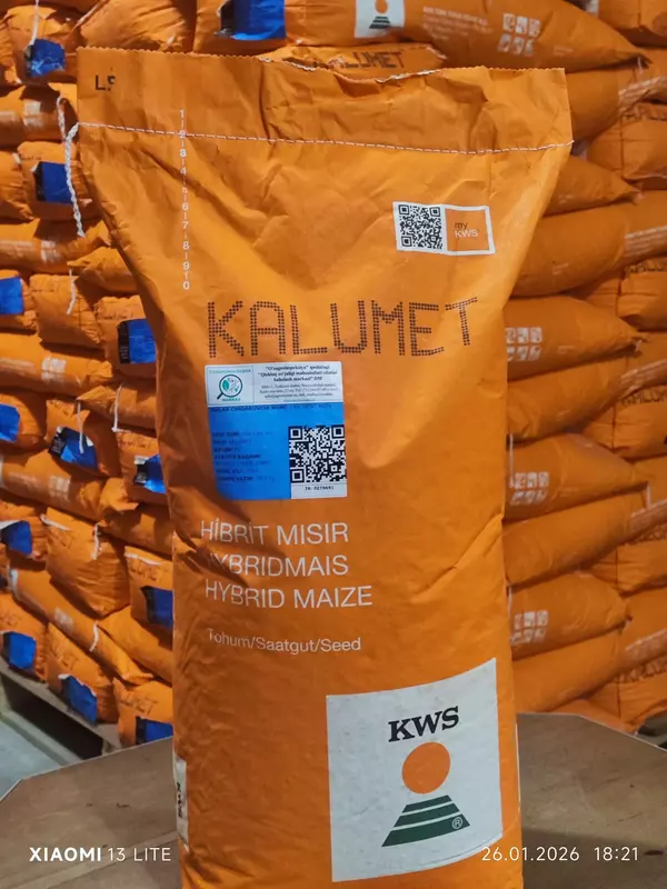  Семена Кукурузы Зерно Макка Дон Силос Продукция компании KWS SAAT SE & Co. KGaA (Германия). ООО EXPONENT
