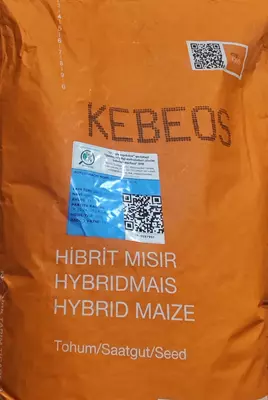  Семена Кукурузы Зерно Макка Дон Силос Продукция компании KWS SAAT SE & Co. KGaA (Германия). - ООО EXPONENT