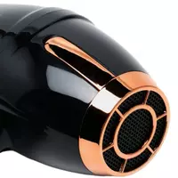 2300 Вт (Черный/золотистый) - 324 085.9 сум