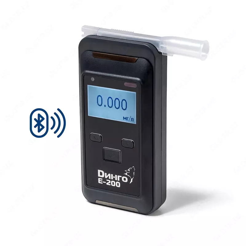 Dingo E-200 (B) havodagi etanol bug'ining massa kontsentratsiyasi analizatori