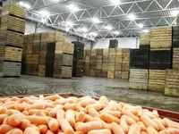  Строительство холодильных камер и складов для овощей и фруктов. Морозильные камеры - 