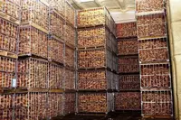   Строительство холодильных камер и складов для овощей и фруктов. Морозильные камеры