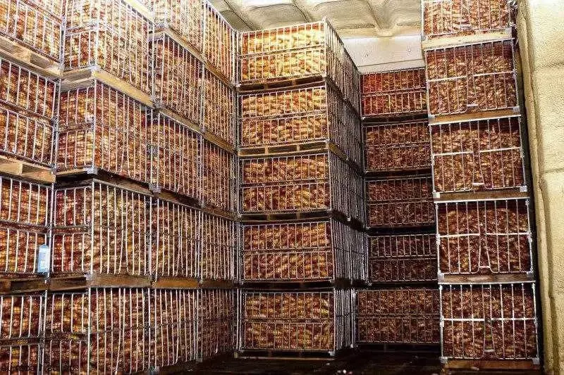   Строительство холодильных камер и складов для овощей и фруктов. Морозильные камеры