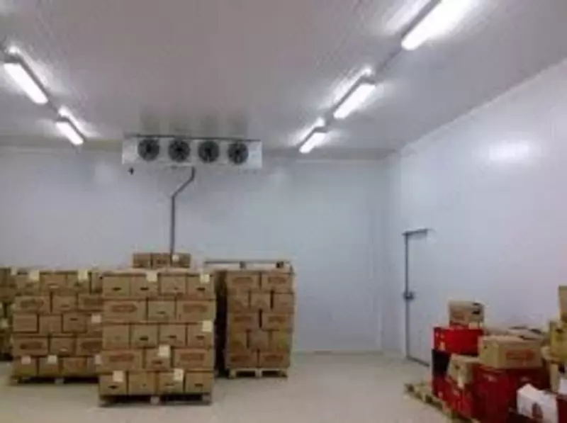  Строительство холодильных камер и складов для овощей и фруктов. Морозильные камеры Строительство холодильных камер