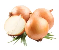 Лук репчатый