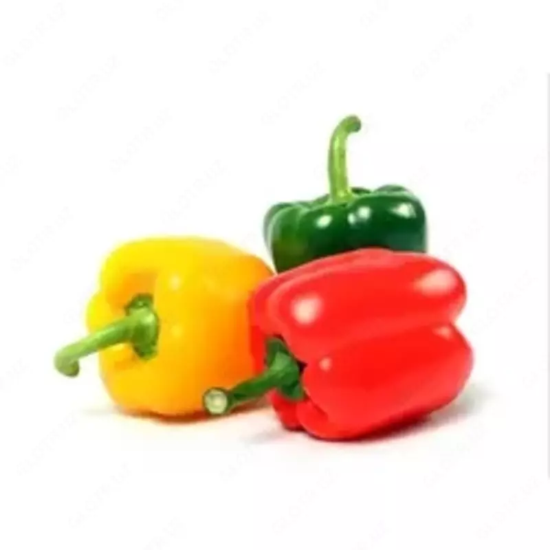 Перец болгарский