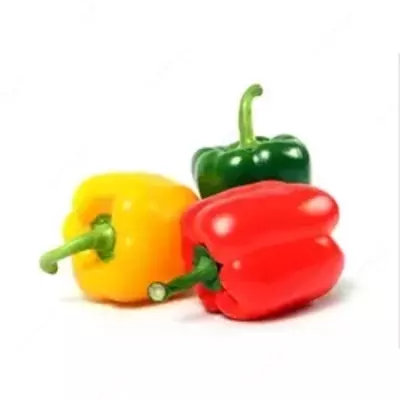Перец болгарский