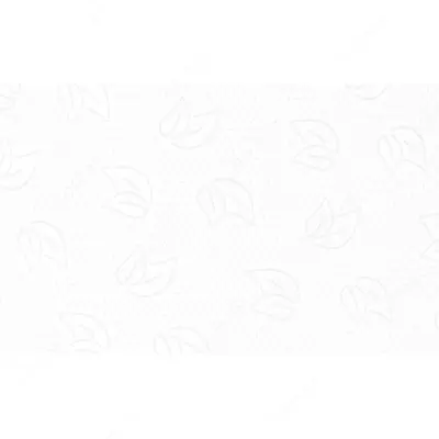 Protissue T2 tualet qog'ozi 2 qavatli