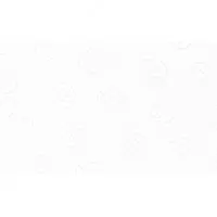 Protissue T2 tualet qog'ozi 2 qavatli