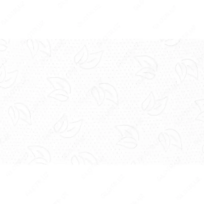 Protissue T2 tualet qog'ozi 2 qavatli