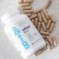 Урсус - AGenYZ БАД Ursus для почек и мочевого пузыря