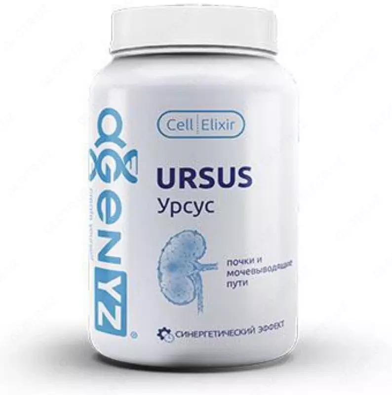 Урсус - AGenYZ БАД Ursus для почек и мочевого пузыря - 390 000 сум