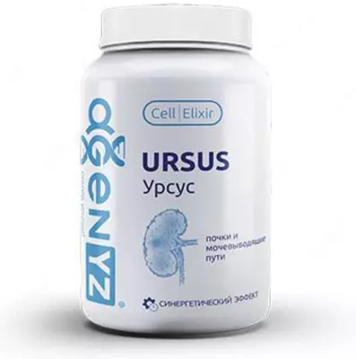 Урсус - AGenYZ БАД Ursus для почек и мочевого пузыря